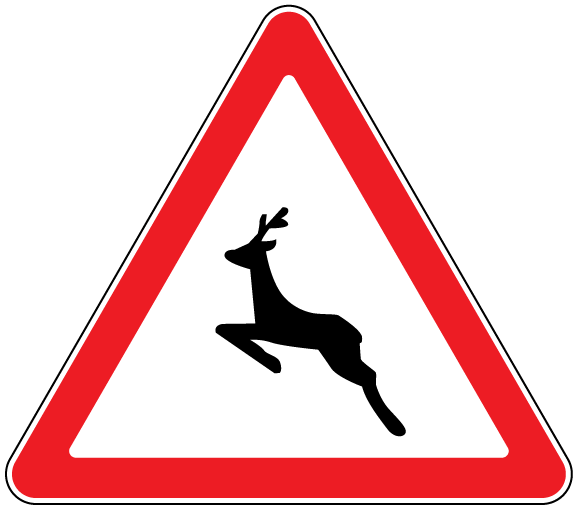 1.24.2 Animale - sector de drum pe care este posibilă apariţia animalelor.