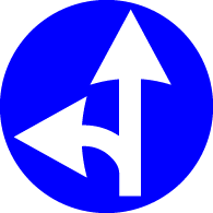 4.1.6 Direcție obligatorie de deplasare